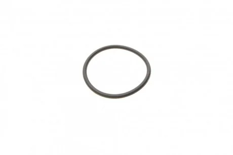 Уплотнительное кольцо BOSCH F 00R 0P0 166