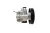 Насос ГУР NISSAN Pathfinder \'\'2.5dci \'\'05>> BOSCH K S02 000 034 (фото 4)