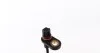 Датчик ABS MITSUBISHI ASX/Lancer/Outlander "1,5-2,2 "RR "06>> BREMI 50879 (фото 3)