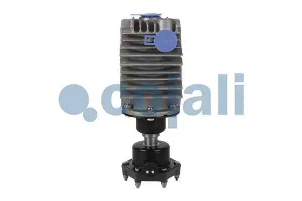Масловідділювач пневматичної системи COJALI 2480004 (фото 1)