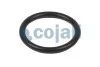РМК пневматического клапана COJALI 6012170 (фото 3)