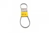 Ремень генератора поликлиновый CONTINENTAL Contitech 3PK905 (фото 1)
