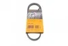 Ремень поликлиновый Fiat Doblo 1,4i 05>13 ContiTech Contitech 3PK915 (фото 1)