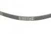 Ремень поликлиновый Fiat Doblo 1,3MJet 05> ContiTech Contitech 4PK1022 ELAST (фото 3)