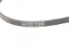 Ремень поликлиновый Audi A4 A6 2,5d 02>05 ContiTech Contitech 4PK1217 (фото 3)