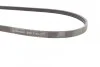 Ремень поликлиновый Ford Focus III USA 2,0i 2,3i Ecoboost 13>18 ContiTech Contitech 4PK1360 (фото 2)
