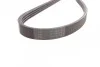 Ремень поликлиновый Ford Tranzit 2,5d >00 ContiTech Contitech 4PK1511 (фото 3)