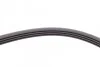 Ремень поликлиновый Ford Tranzit 2,5d >00 ContiTech Contitech 4PK1511 (фото 4)