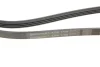 Ремінь генератора поліклиновий CONTINENTAL Contitech 4PK1708 (фото 4)