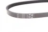 Ремень поликлиновый Hyundai Accent 1,3i 1,5i 00>05, Getz 1,3i 02>05 ContiTech Contitech 4PK611 (фото 3)