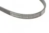 Ремень поликлиновый Mitsubishi Carisma 1,6i, Nissan Teana 2,3 06>08 ContiTech Contitech 4PK775 (фото 4)