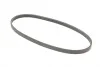 Ремень поликлиновый Mitsubishi Carisma 1,6i, Nissan Teana 2,3 06>08 ContiTech Contitech 4PK775 (фото 5)