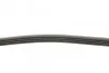 Ремень поликлиновый Honda civic/CRX 1.4-1.6 16V 91-01 Contitech 4PK795 (фото 2)