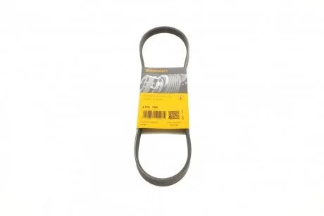 Ремень поликлиновый Honda civic/CRX 1.4-1.6 16V 91-01 Contitech 4PK795