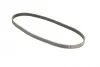 Ремень поликлиновый Honda civic/CRX 1.4-1.6 16V 91-01 Contitech 4PK795 (фото 5)