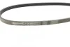 Ремень поликлиновый Suzuki Swift 1,3i 1,5i 05>08 ContiTech Contitech 4PK800 (фото 2)