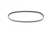 Ремень поликлиновый Suzuki Swift 1,3i 1,5i 05>08 ContiTech Contitech 4PK800 (фото 4)
