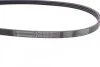 Ремень поликлиновый Suzuki Swift 1,3i 05> ContiTech Contitech 4PK810 (фото 2)