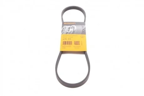Ремень поликлиновый Suzuki Swift 1,3i 05> ContiTech Contitech 4PK810