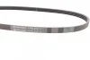 Ремень поликлиновый Hyundai Accent, Getz 1,4-1,6 05> ContiTech Contitech 4PK815 (фото 2)