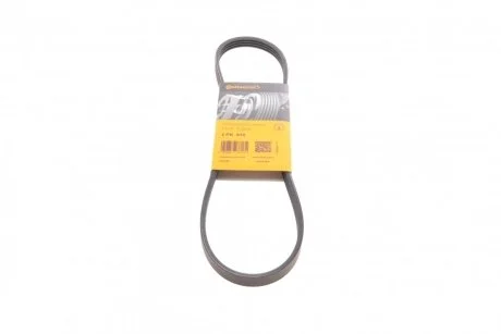 Ремень поликлиновый Hyundai Accent, Getz 1,4-1,6 05> ContiTech Contitech 4PK815