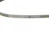 Ремень поликлиновый Nissan Pathfinder 2,5D 05>, Honda CR-V 2,0i 97>02 ContiTech Contitech 4PK825 (фото 3)