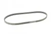 Ремень поликлиновый Subaru Forester Outback Legasy 2,0i 2,5i 09> ContiTech Contitech 4PK826 ELAST (фото 5)
