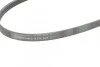 Ремень поликлиновый Subaru Legasy 2,0i 2,5i 03>09 ContiTech Contitech 4PK845 (фото 3)