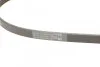 Ремень поликлиновый Hyundai Accent 1,4i 1,6i 06>10 ContiTech Contitech 4PK850 (фото 3)