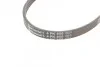 Ремень поликлиновый Hyundai Accent 1,4i 1,6i 06>10 ContiTech Contitech 4PK850 (фото 4)