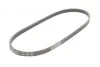Ремень поликлиновый Hyundai Accent 1,4i 1,6i 06>10 ContiTech Contitech 4PK850 (фото 5)