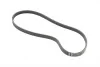 Ремень поликлиновый VW Passat, Audi A6 00>05, Skoda Superb 02>08 ContiTech Contitech 4PK855 (фото 5)