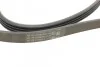 Ремень поликлиновый Ford Focus III USA 2,0i 2,3i Ecoboost 13>18 ContiTech Contitech 4PK860 ELAST (фото 3)