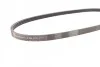 Ремень поликлиновый Hyundai Tucson 2,0i 04>09 ContiTech Contitech 4PK875 (фото 2)
