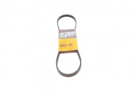 Ремінь генератора поліклиновий CONTINENTAL Contitech 4PK875