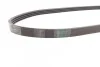 Ремень поликлиновый Mazda 323 1,4i 1,5i 1,6i 98>04 ContiTech Contitech 4PK885 (фото 2)
