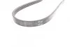 Ремень поликлиновый PSA Jumper Boxer 2,2D 06> ContiTech Contitech 4PK922 ELAST (фото 2)