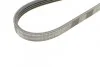 Ремень поликлиновый Infiniti FX35 FX45 03>08 ContiTech Contitech 4PK945 (фото 3)
