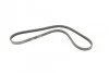 Ремень поликлиновый Infiniti FX35 FX45 03>08 ContiTech Contitech 4PK945 (фото 5)