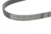 Ремень поликлиновый Opel Vectra C 2,2i ContiTech Contitech 5PK1030 (фото 4)
