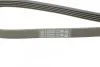 Ремень генератора поликлиновый CONTINENTAL Contitech 5PK1120 (фото 4)