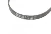 Ремень поликлиновый Fiat Linea 07>, Punto 05> 1,4i ContiTech Contitech 5PK1145 (фото 4)
