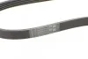 Ремень поликлиновый Fiat Linea 09>, Punto 07> 1,4Ti ContiTech Contitech 5PK1150 (фото 3)