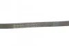 Ремень поликлиновый Mitsubishi Colt 1,3i 1,5i 04>08 ContiTech Contitech 5PK1219 (фото 3)
