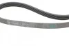 Ремень поликлиновый Skoda Superb 1,8t 02>08, VW Passat 1,8t 00>05 ContiTech Contitech 5PK1300 (фото 3)