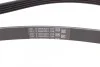 Ремень поликлиновый Hyundai Santa Fe, H1, Kia Sorento 2,4i 02> ContiTech Contitech 5PK1393 (фото 2)