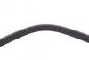 Ремень поликлиновый Hyundai Santa Fe, H1, Kia Sorento 2,4i 02> ContiTech Contitech 5PK1393 (фото 4)