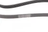 Ремень поликлиновый Audi A4, VW Passat 1,9 TDI 96>01, Kia Carnival 2,9CRDI 01>06, 06> ContiTech Contitech 5PK1592 (фото 3)