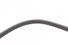 Ремень поликлиновый Audi A4, VW Passat 1,9 TDI 96>01, Kia Carnival 2,9CRDI 01>06, 06> ContiTech Contitech 5PK1592 (фото 4)