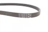 Ремень поликлиновый Renault Logan 1,4i 1,6i 04>09 ContiTech Contitech 5PK1750 (фото 2)